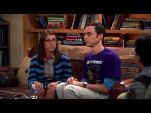 The Big Bang Theory - Sheldon & Amy's Game Counter...