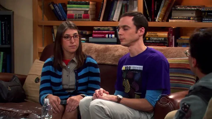 The Big Bang Theory - Sheldon & Amy's Game Counter...