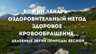 Божий лекарь - оздоровительный метод здоровое кровообращение, целебные звуки природы весной