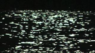 Download Lagu Scooter-Dancing in the moonlight MP3