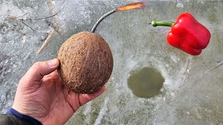 Coconut TNT in the ice hole | Explode Ice with MEGA Petard