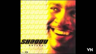 Shaggy - It Wasn't Me.