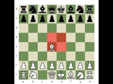 Opening chess principles explained 