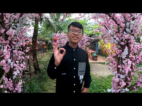 vuon hoa o tien giang New Update THAM QUAN VƯỜN HOA BÁCH NHẬT HOA VIÊN CHỤP ẢNH MỸ THO TIỀN GIANG TẾT XUÂN 2021