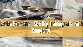 Review Extra Small Size Dog Training Collar with Remote for Small Dogs 5-15lbs and Puppies with Shoc
