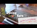 My Dye Process - Littlebean Loves Yarn