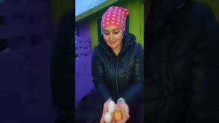 Собираю яйца! #деревенскаяжизнь #деньвдеревне #селодеревня