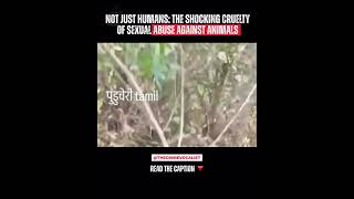 ##the shocking cruelty#sexual abuse against animals#not just humans**
