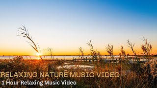 Paradise: Beautiful Relaxing Music with Piano, Cello, Duduk, Flute \& Violin