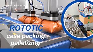 WIN-WIN PACK Two-Robot Case Packing and Palletizing System | Flexible packaging | Palletizer
