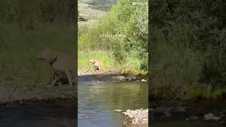 blue river colorado