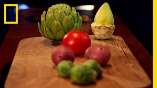 野菜を時速1200キロで発射してみた | ナショジオクイズ