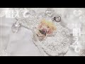 【Magical    Word】/P丸様。