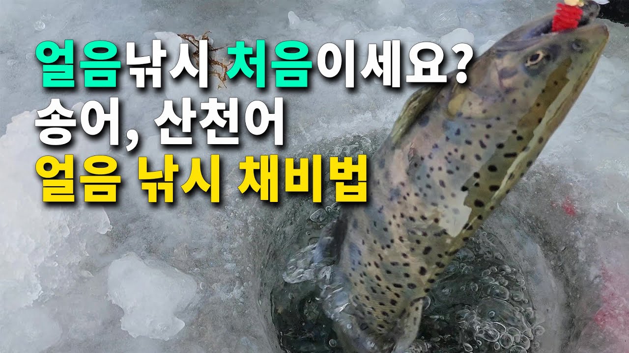 고수에게 배운 송어 산천어 얼음낚시 채비법, 얼음낚시가 처음이라도 쉽게 잡을 수 있습니다.