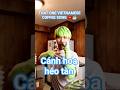 cánh hoa héo tàn [cover] 💚 #vinahouse #canhhoaheotan #mochii #singer #vietnamese #gaysian