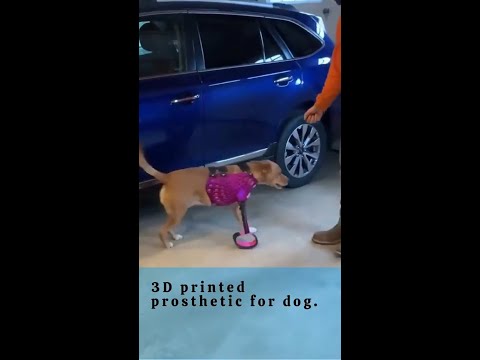 3D printed prosthetic for dog