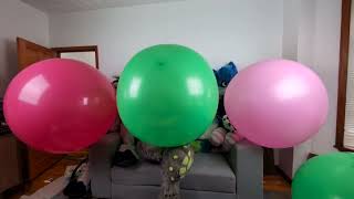 Pop Compilation 2025 Year Of The B2P