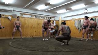 Sumo Training
