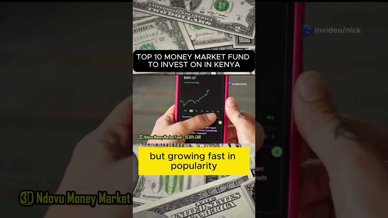 Ndovo and Mali MMF are  The Rising Stars of Kenya’s Money Market Fund Companies