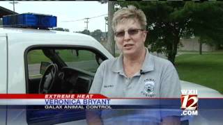 Galax Implements Animal Abuse Fines