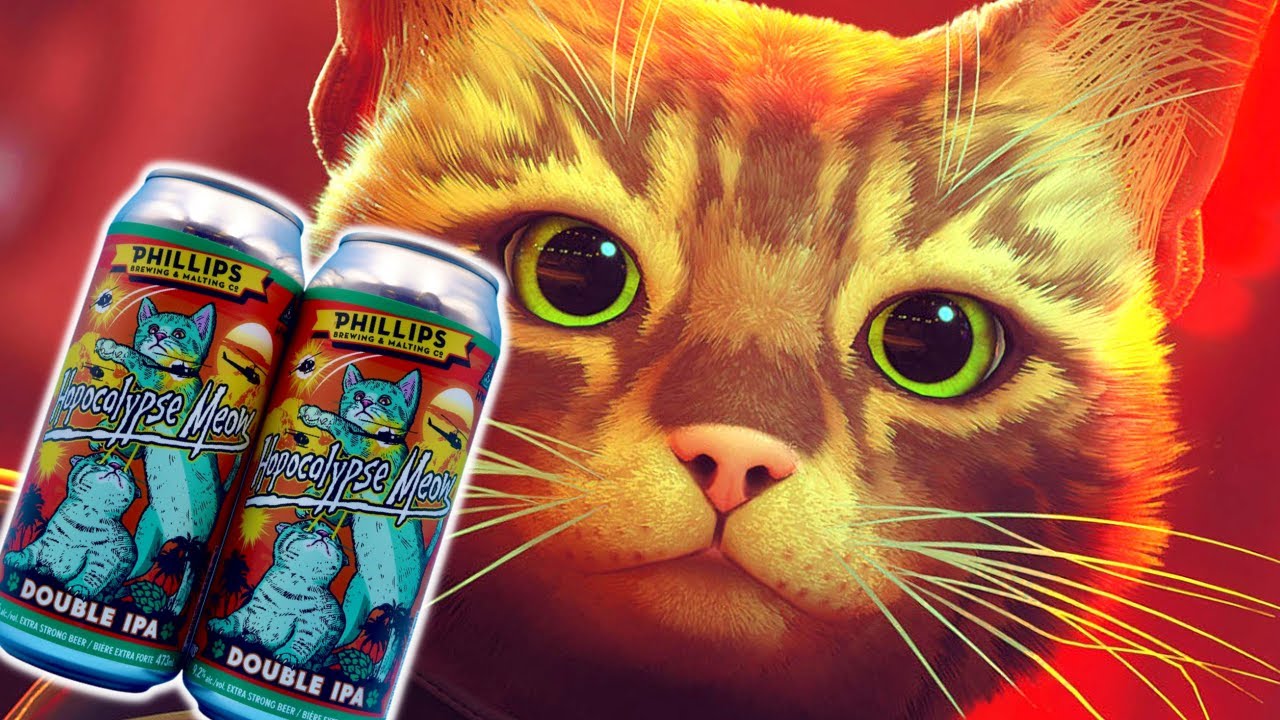 Kitty Beer for Kitty Game YouTube