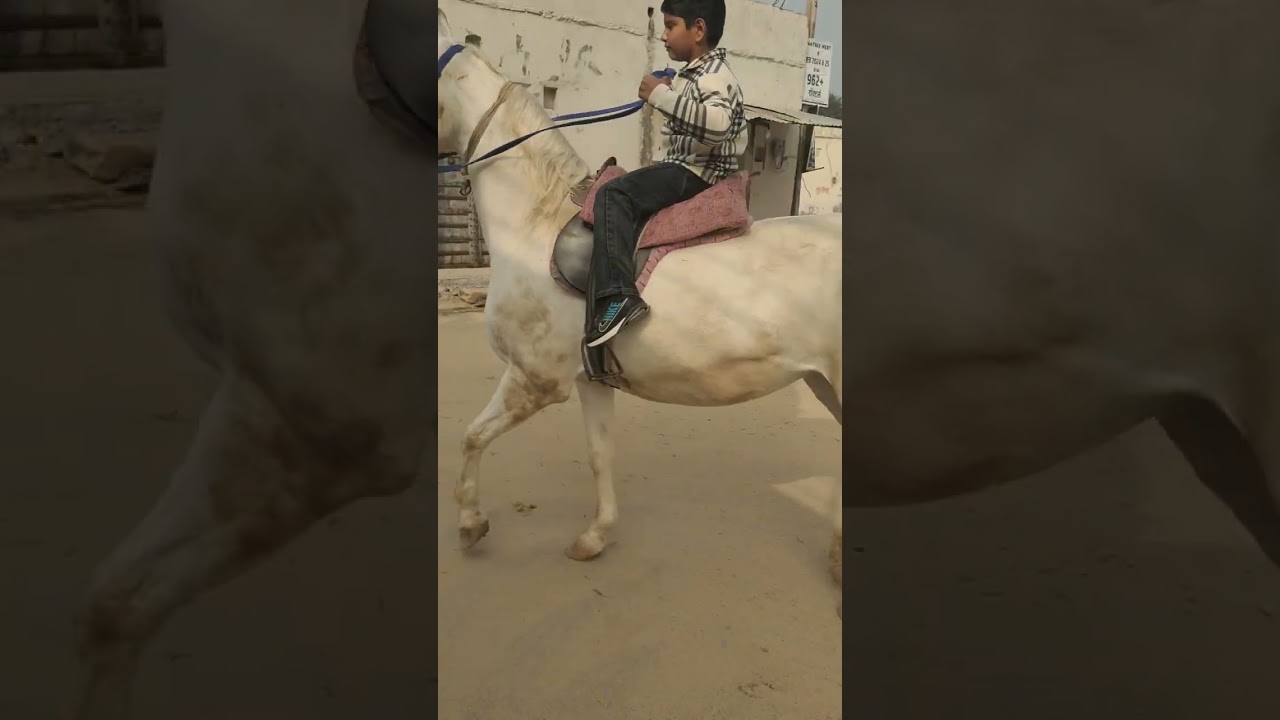 10 जनवरी 2026