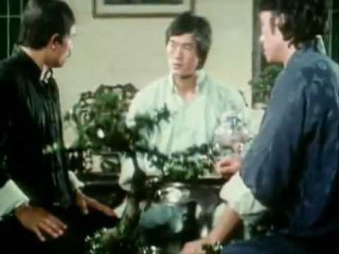 Bruce Lee: The Invincible