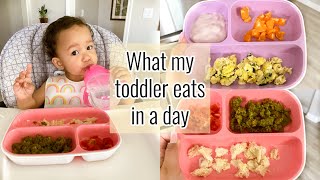 WHAT MY TODDLER EATS IN A DAY || 15 month old || Toddler Meal Ideas