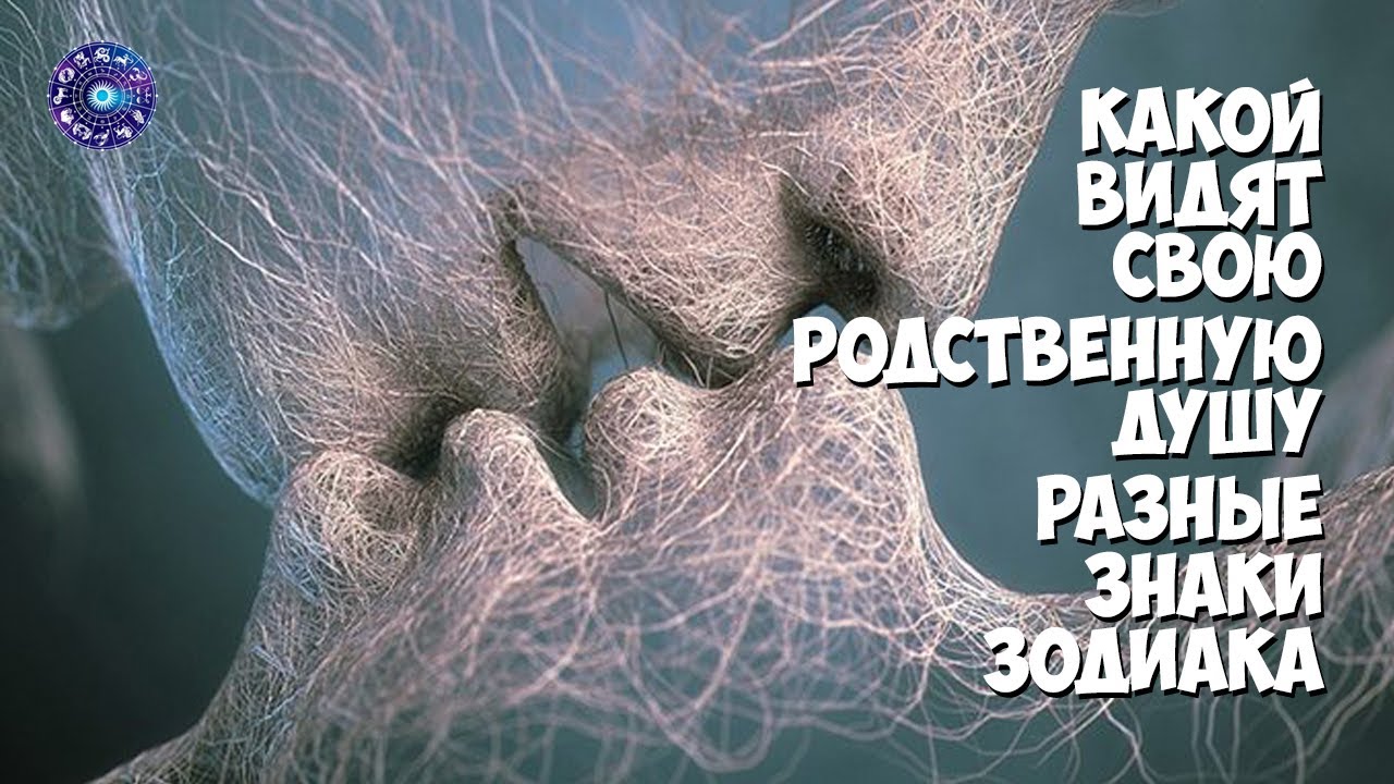 Какой видят свою родственную душу разные знаки Зодиака - YouTube