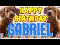 Happy Birthday Gabriel Funny Talking Dogs What Is Free On My Birthday 