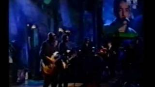 Video voorbeeld van "The Wallflowers - Heroes - Live 1998"