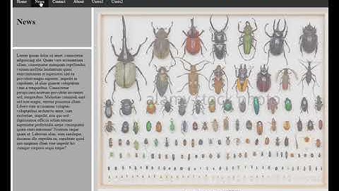 Codeanywhere Tutorials :: Includes head.php and foot.php on all pages