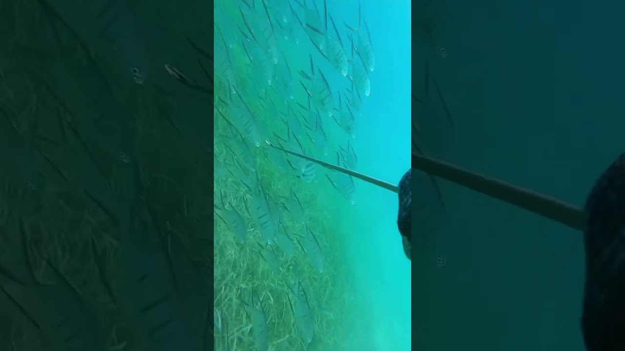 Shooting Pompano In the Bahamas 🇧🇸 