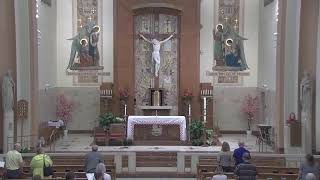 St. Dominic Parish Delhi Cincinnati, Ohio Live Stream