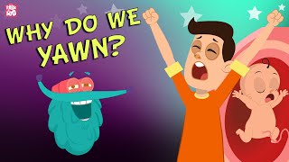 Why Do We Yawn? | The Dr. Binocs Show | Best Learning Videos For Kids | Peekaboo Kidz