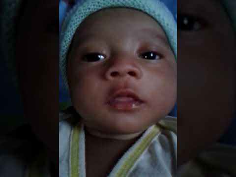 Album Syarif #1