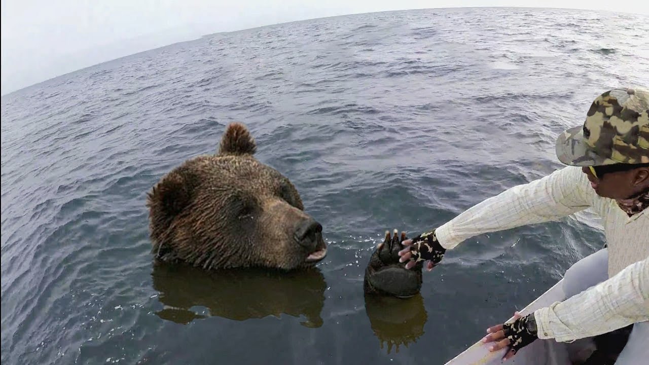 ⁣人々に助けを求めた動物!