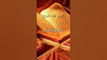 القرآن غذاء الروح تلاوة هادئة تريح القلب وتزيل الهموم