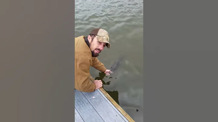 Cane River 13-pound bass being released