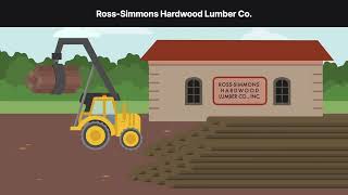 Weyerhaeuser Co. v. Ross Simmons Hardwood Lumber Co. Case Brief Summary | Law Case Explained