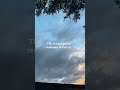 #shortsfeed #shortsviral #viral #lockin #motivation #inspiredaily #fypviral #blowup #reach #foryou