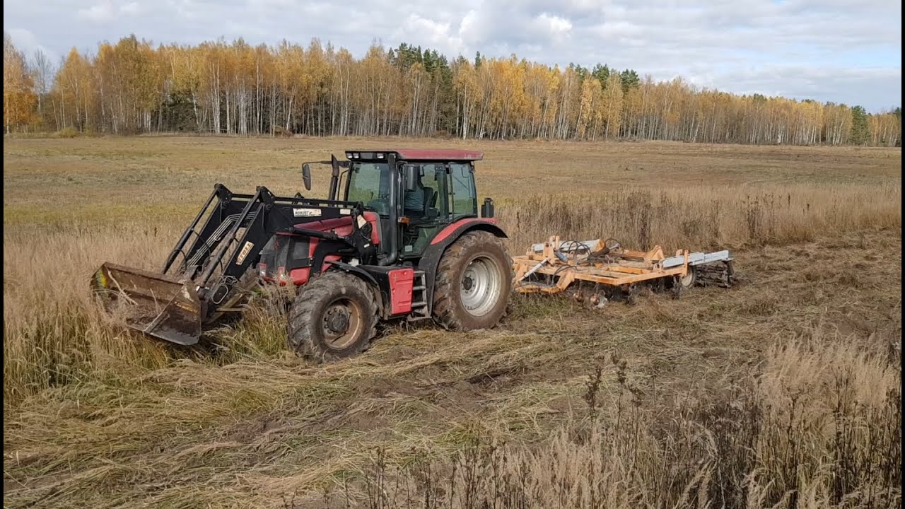 Разработка заброшенного поля / деревья убраны - пускаем дискаторы ...