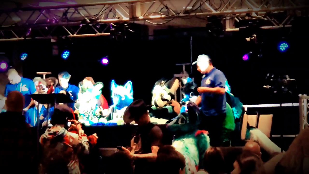 Capital City Furcon (CCFC) Adventures