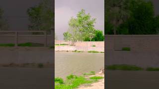 Bas Akbar aja inha satch bataja#viral #tranding song short video