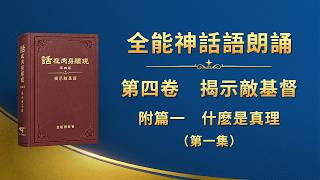 第四卷　揭示敵基督《附篇一　什麽是真理》第一集