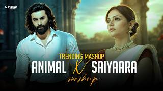 Animal X Saiyaara Mashup (Full Version) | Arijit Singh | Pehle Bhi Main,Barbaad | Latest 4k Mashup