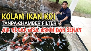 Kolam ikan koi | Tanpa Chamber Filter | Air tetap bersih dan sehat