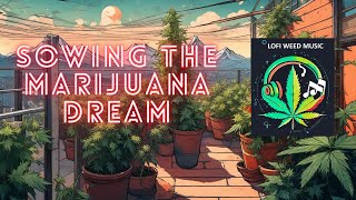 Sowing the Marijuana Dream: Music and Mountain Views