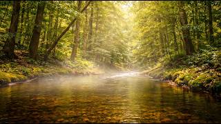 Serene Waterside Sounds & Soft Music for Productivity, Focus & Creativity 🌿🌊🧠