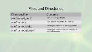 Linux Server Administration - Domain Name System (DNS) Overview